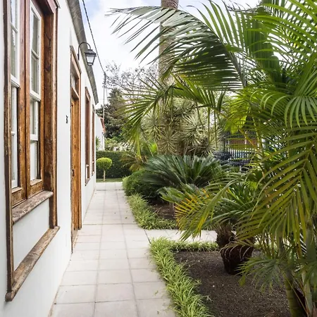 Donde Conchita, Cerca Del Aeropuerto Norte Σαν Κριστόμπαλ ντε Λα Λαγούνα